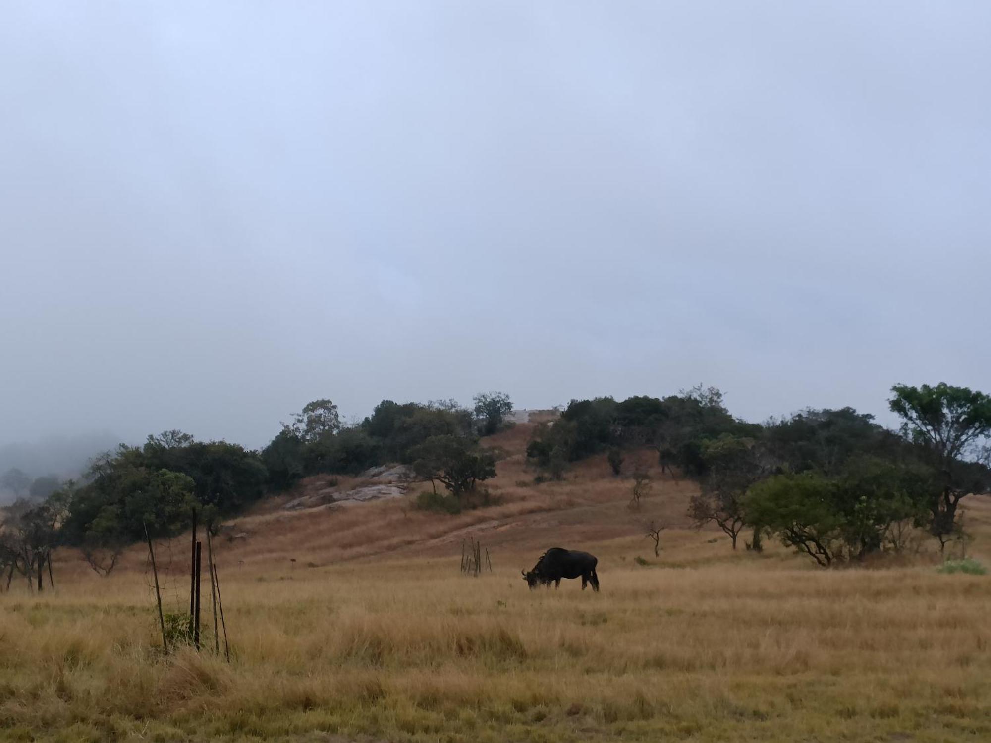 @Nature Luxury Cottages Mbombela Exterior photo