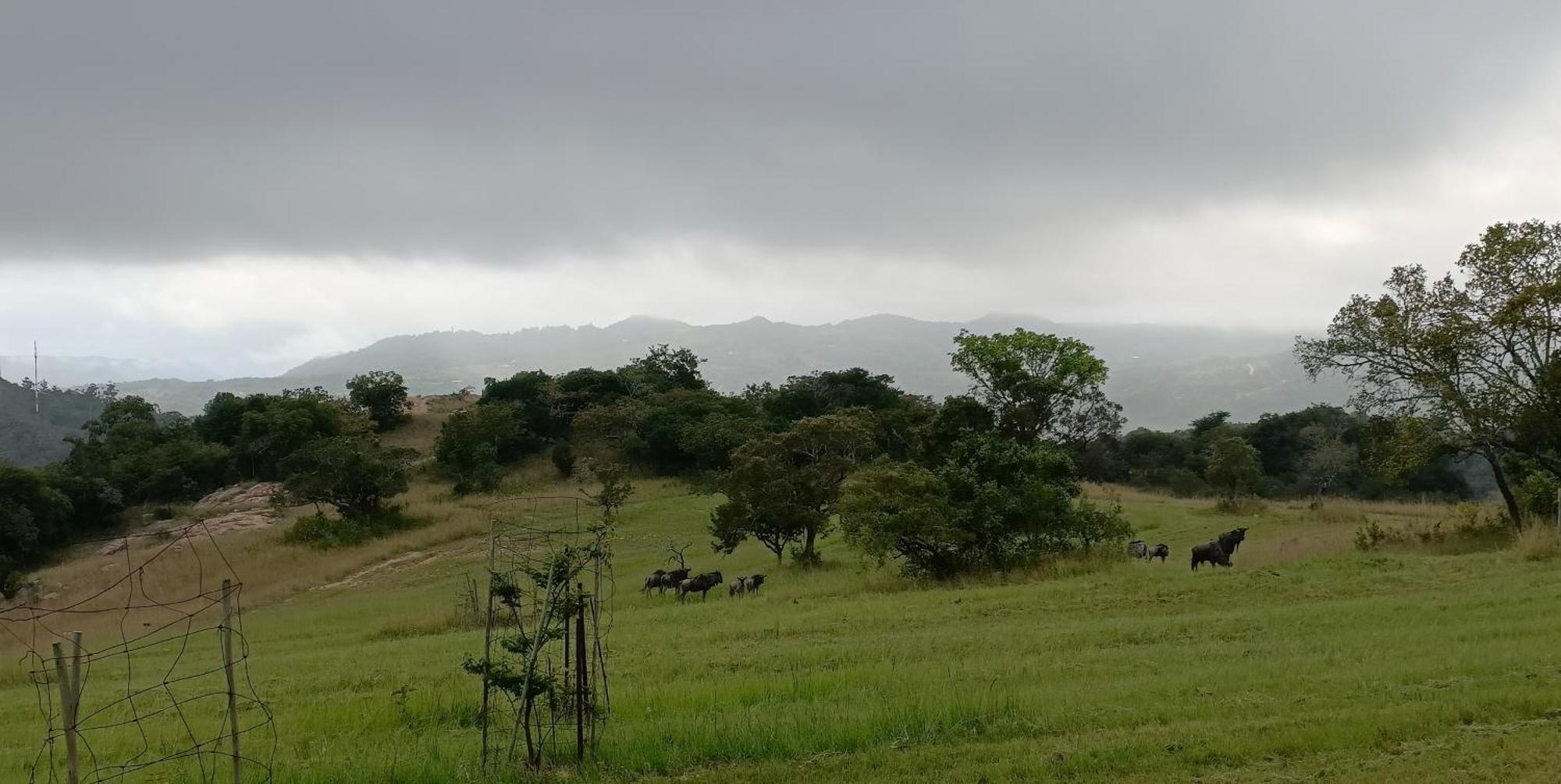 @Nature Luxury Cottages Mbombela Exterior photo